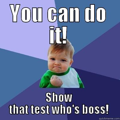 YOU CAN DO IT! SHOW THAT TEST WHO'S BOSS! Success Kid