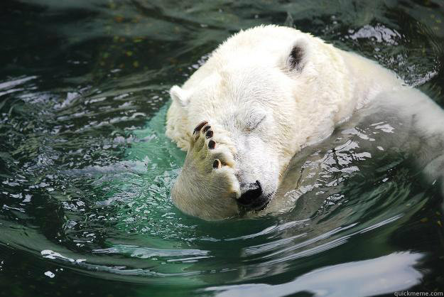    Embarrassed Polar Bear