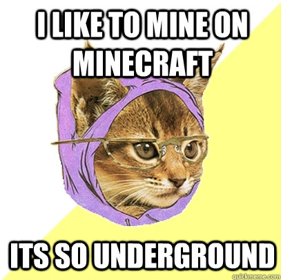 I like to mine on minecraft Its so underground  Hipster Kitty