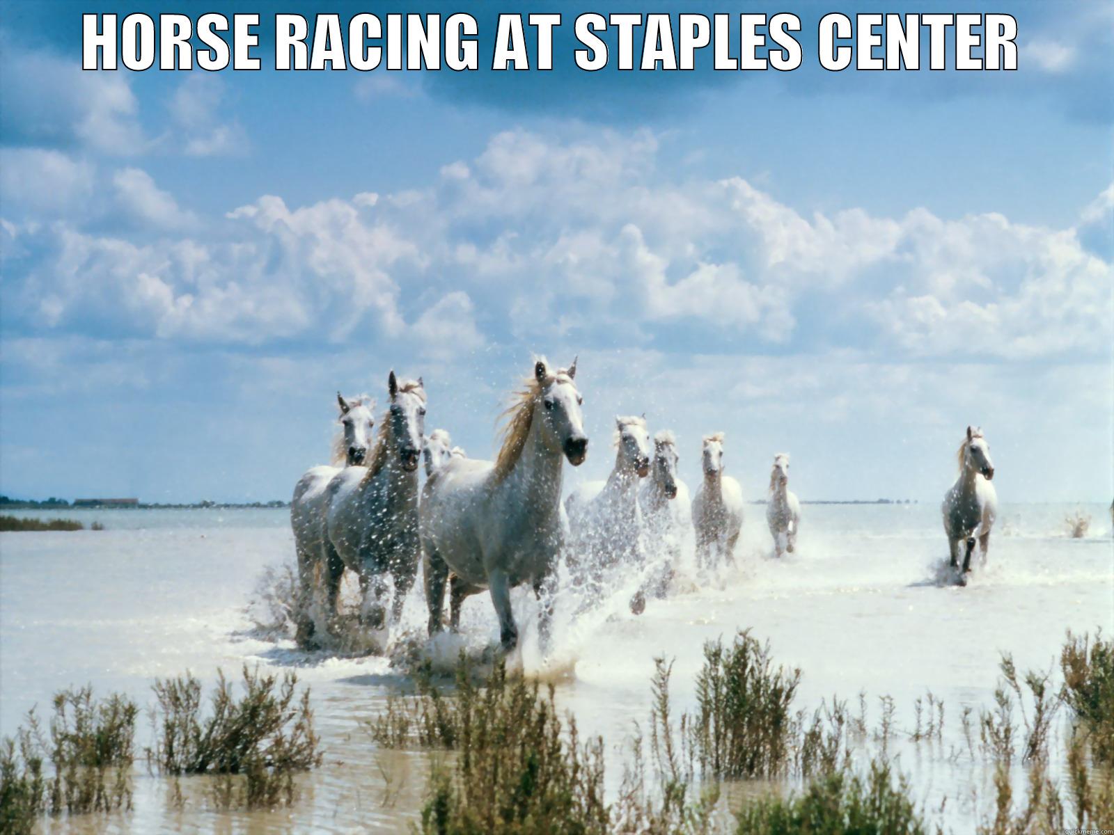 HORSE RACING AT STAPLES CENTER  Misc