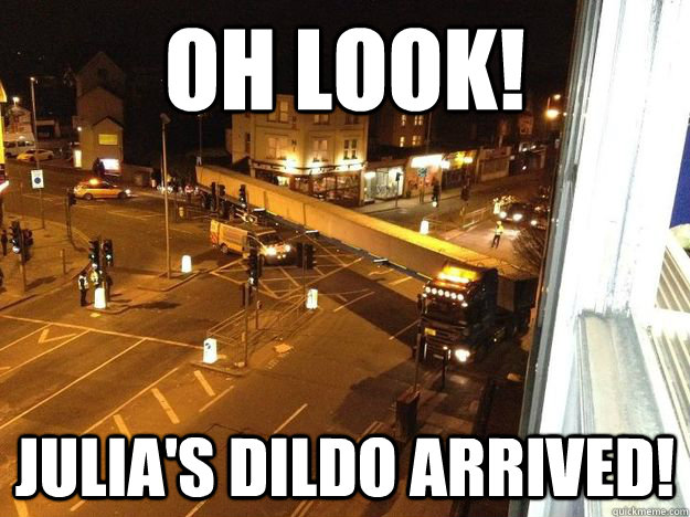 Oh look! Julia's Dildo arrived!  Moms Dildo