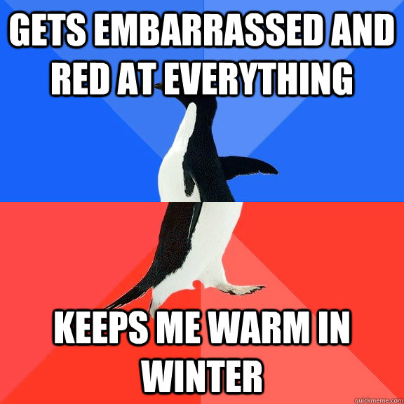 Gets embarrassed and red at everything  keeps me warm in winter  Socially Awkward Awesome Penguin