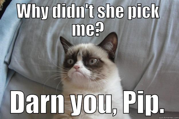 WHY DIDN'T SHE PICK ME? DARN YOU, PIP. Grumpy Cat
