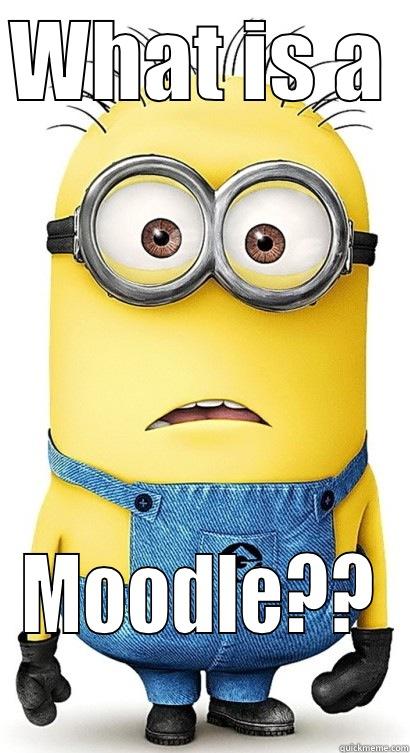 WHAT IS A  MOODLE?? Misc