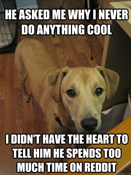 He asked me why I never do anything cool I didn't have the heart to tell him he spends too much time on Reddit  Redditors Dog