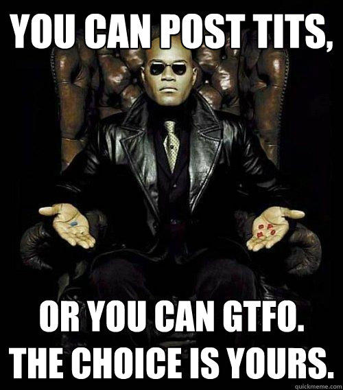 You can post tits, or you can gtfo. the choice is yours.  Morpheus