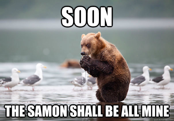 soon The samon shall be all mine - soon The samon shall be all mine  Evil Plotting Bear