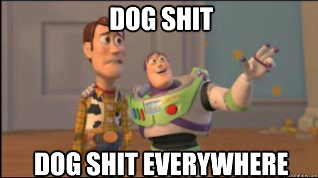 dog shit dog shit everywhere  Buzz and Woody