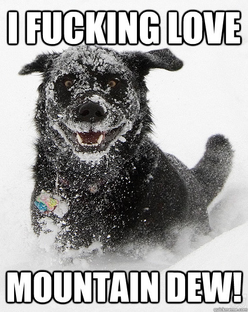 I fucking love Mountain Dew!  Cocaine dog