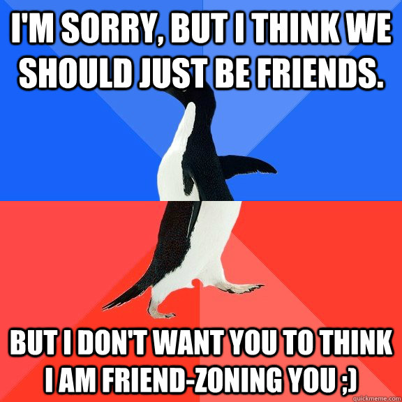 I'm sorry, but I think we should just be friends. But I don't want you to think I am friend-zoning you ;) - I'm sorry, but I think we should just be friends. But I don't want you to think I am friend-zoning you ;)  Socially Awkward Awesome Penguin