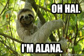 Oh hai. I'm Alana. - Oh hai. I'm Alana.  alana sloth