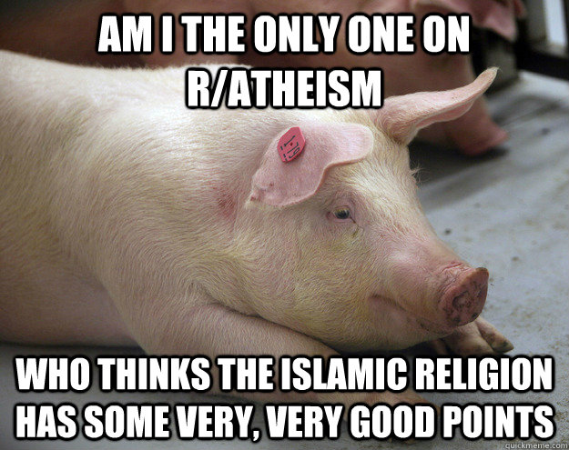 Am I the only one on r/atheism who thinks the islamic religion has some very, very good points - Am I the only one on r/atheism who thinks the islamic religion has some very, very good points  Optimistic Piggy