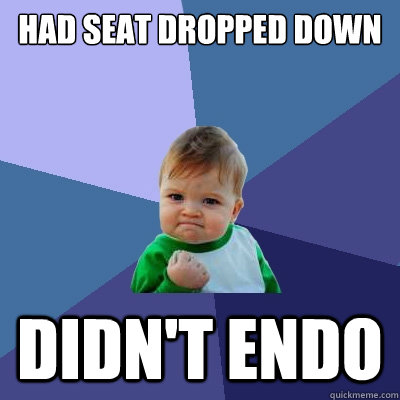 had seat dropped down DIDN'T ENDO  Success Kid