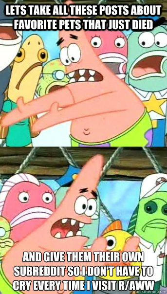 Lets take all these posts about favorite pets that just died and give them their own subreddit so I don't have to cry every time I visit r/aww  Push it somewhere else Patrick