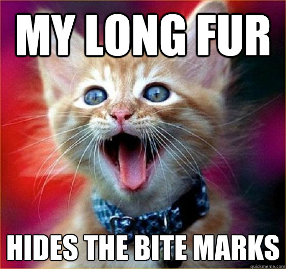 my long fur hides the bite marks  