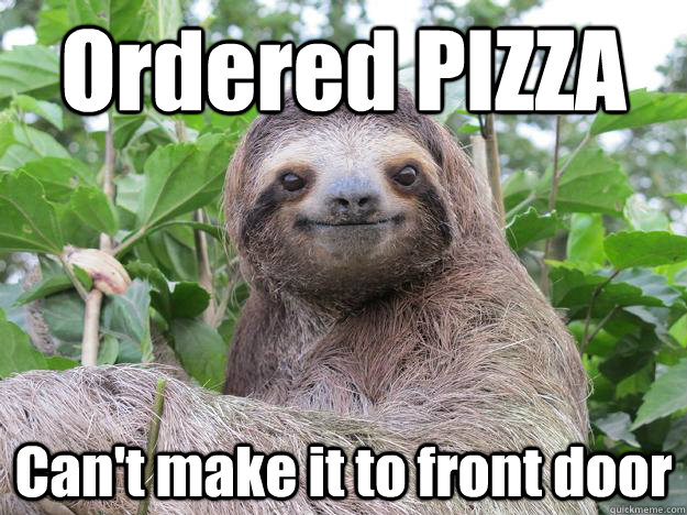 Ordered PIZZA Can't make it to front door - Ordered PIZZA Can't make it to front door  Stoned Sloth