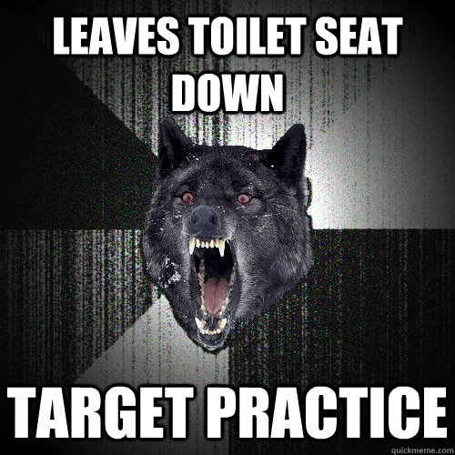 Leaves toilet seat down Target practice   Insanity Wolf