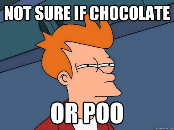 not sure if chocolate or poo  