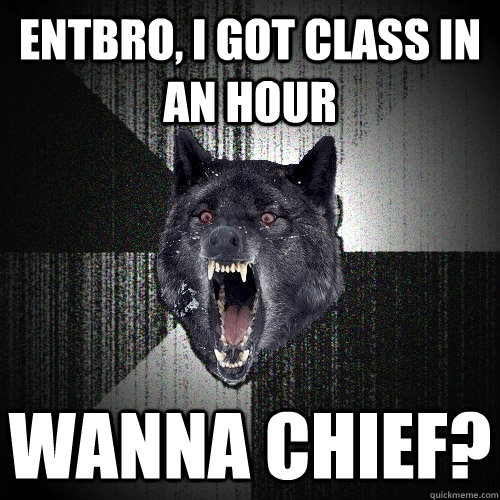 Entbro, I got class in an hour Wanna chief?  Insanity Wolf