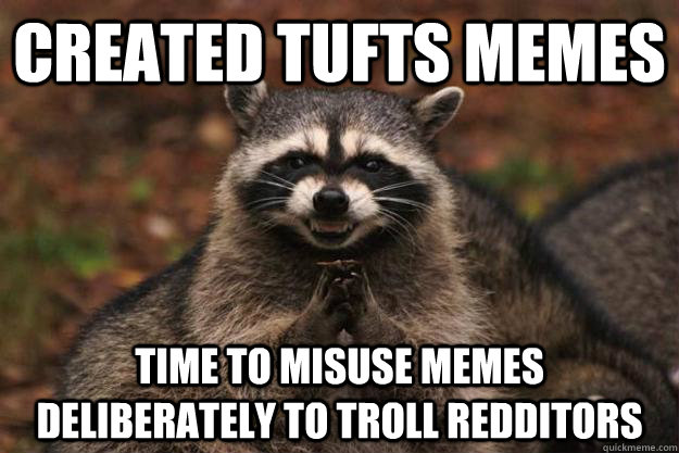 Created tufts memes time to misuse memes deliberately to troll redditors  Evil Plotting Raccoon