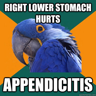 Right lower stomach hurts appendicitis  Paranoid Parrot
