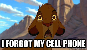 i forgot my cell phone - i forgot my cell phone  Stunned Simba