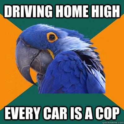 driving home high every car is a cop  