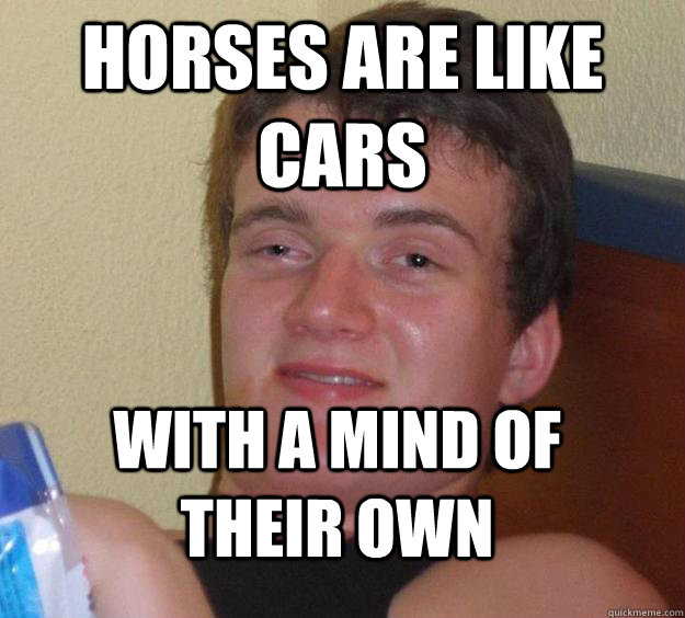 Horses are like cars with a mind of their own - Horses are like cars with a mind of their own  10 Guy