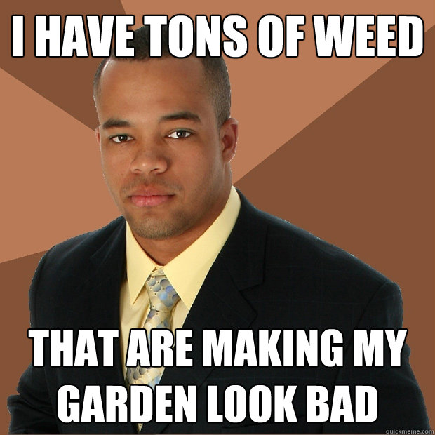 I have tons of weed that are making my garden look bad  Successful Black Man