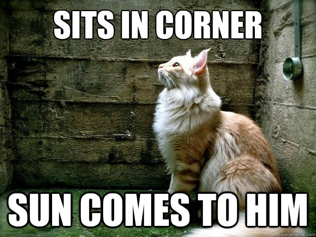 sits in corner sun comes to him - sits in corner sun comes to him  Misc