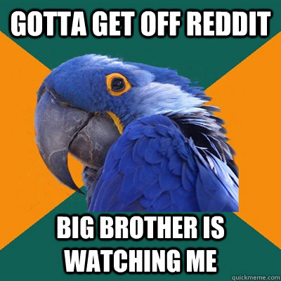 gotta get off reddit big brother is watching me - gotta get off reddit big brother is watching me  Paranoid Parrot