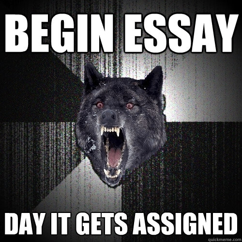 begin essay day it gets assigned  Insanity Wolf