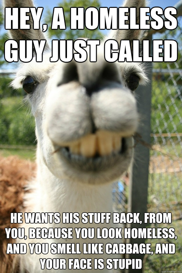 hey, a homeless guy just called he wants his stuff back, from you, because you look homeless, and you smell like cabbage, and your face is stupid - hey, a homeless guy just called he wants his stuff back, from you, because you look homeless, and you smell like cabbage, and your face is stupid  Lame Insult Llama