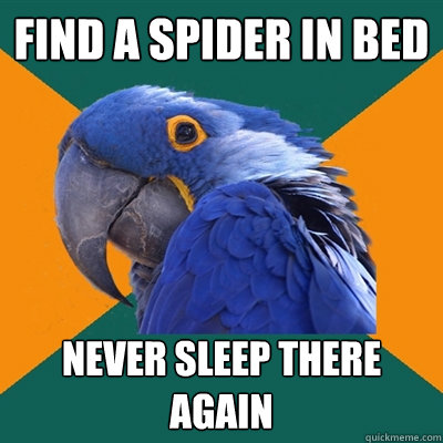 Find a spider in bed Never sleep there again  Paranoid Parrot