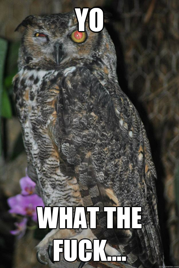 Yo What the fuck....  