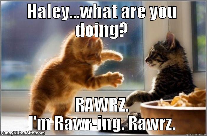 What the heck? - HALEY...WHAT ARE YOU DOING? RAWRZ. I'M RAWR-ING. RAWRZ. Misc