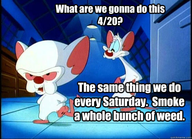 What are we gonna do this 4/20? The same thing we do every Saturday.  Smoke a whole bunch of weed. - What are we gonna do this 4/20? The same thing we do every Saturday.  Smoke a whole bunch of weed.  Pinky and the Brain