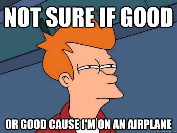 Not sure if good or good cause I'm on an airplane - Not sure if good or good cause I'm on an airplane  Futurama Fry