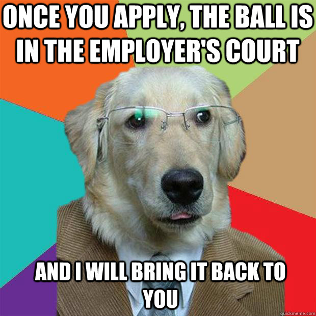 Once you apply, the ball is in the employer's court And I will bring it back to you  Business Dog