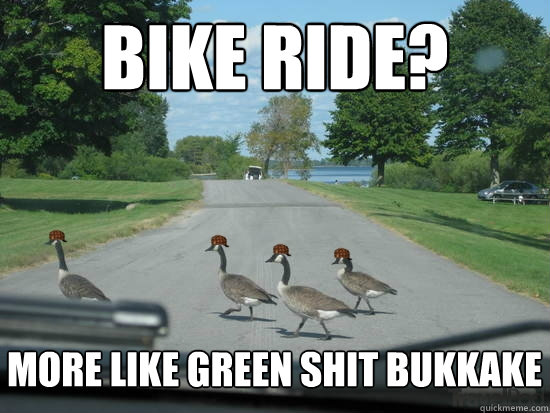 Bike Ride? more like green shit bukkake  Scumbag Geese