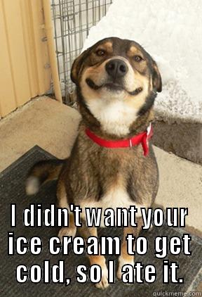 Ice Cream -   I DIDN'T WANT YOUR ICE CREAM TO GET COLD, SO I ATE IT. Good Dog Greg
