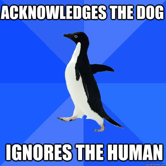 Acknowledges the dog Ignores the human   Socially Awkward Penguin