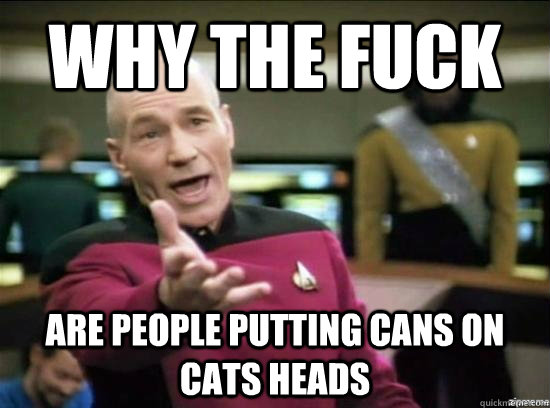 Why the fuck Are people putting cans on cats heads  