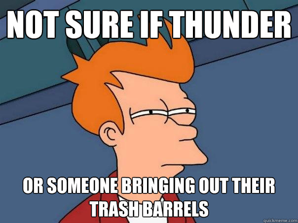 Not sure if thunder Or someone bringing out their trash barrels   Futurama Fry