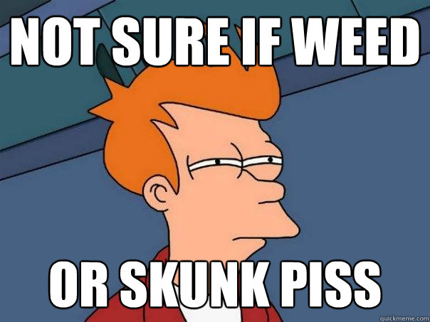 not sure if weed or skunk piss  Futurama Fry