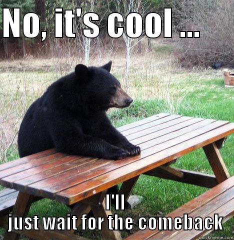 No, it's cool - NO, IT'S COOL ...      I'LL JUST WAIT FOR THE COMEBACK waiting bear