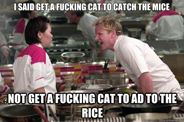 i said get a fucking cat to catch the mice  not get a fucking cat to ad to the rice   Chef Ramsay
