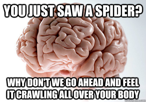 You just saw a spider? Why don't we go ahead and feel it crawling all over your body  Scumbag Brain