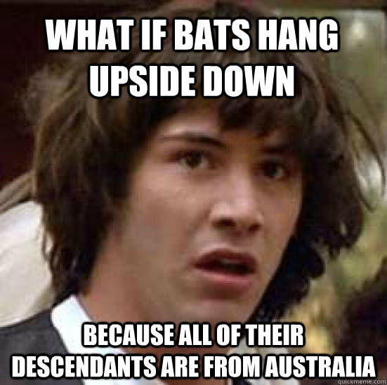 What if bats hang upside down Because all of their descendants are from Australia - What if bats hang upside down Because all of their descendants are from Australia  conspiracy keanu