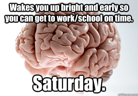 Wakes you up bright and early so you can get to work/school on time. Saturday.  Scumbag Brain